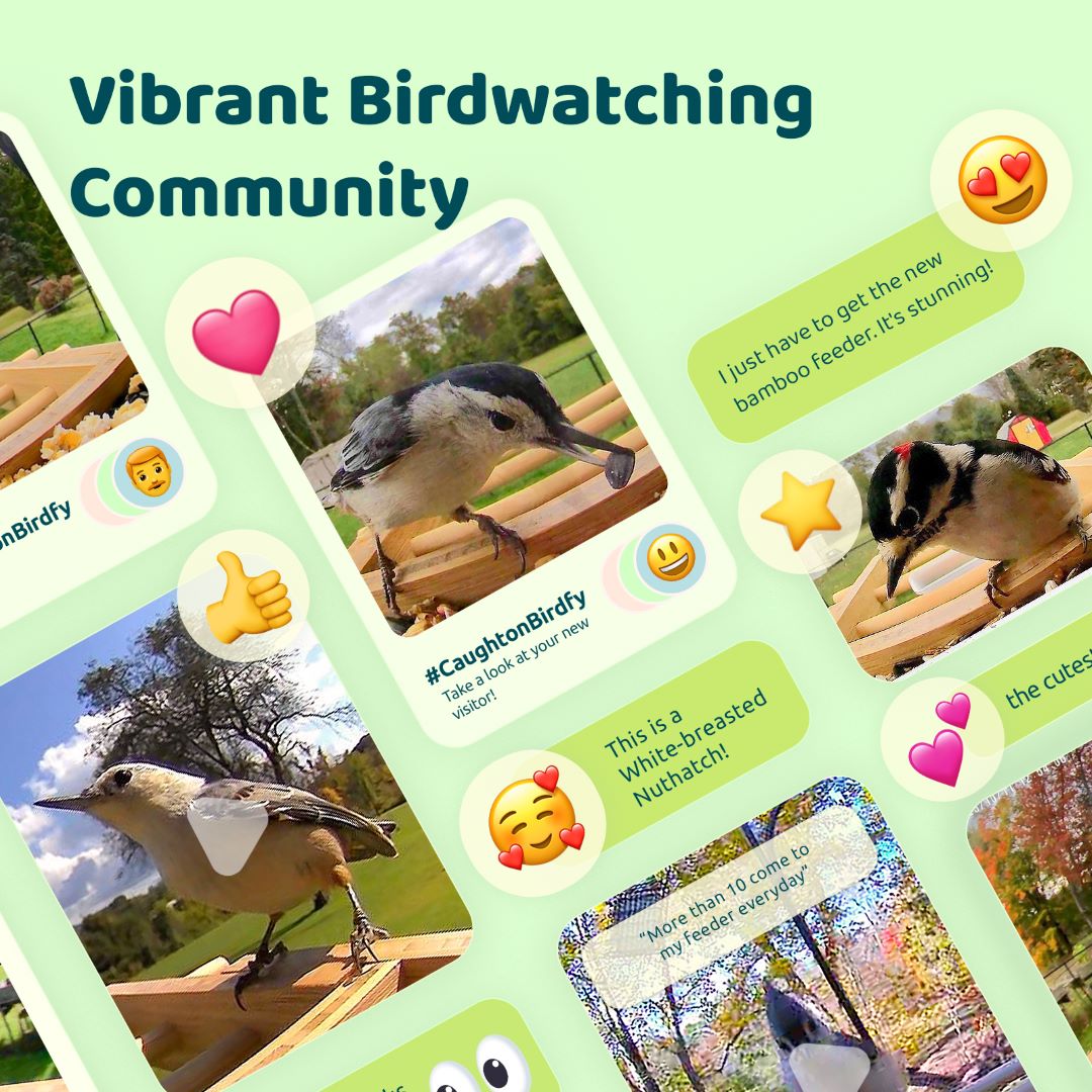 Birdfy Feeder Bamboo - Upgraded Smart Bird Feeder for Your Backyard