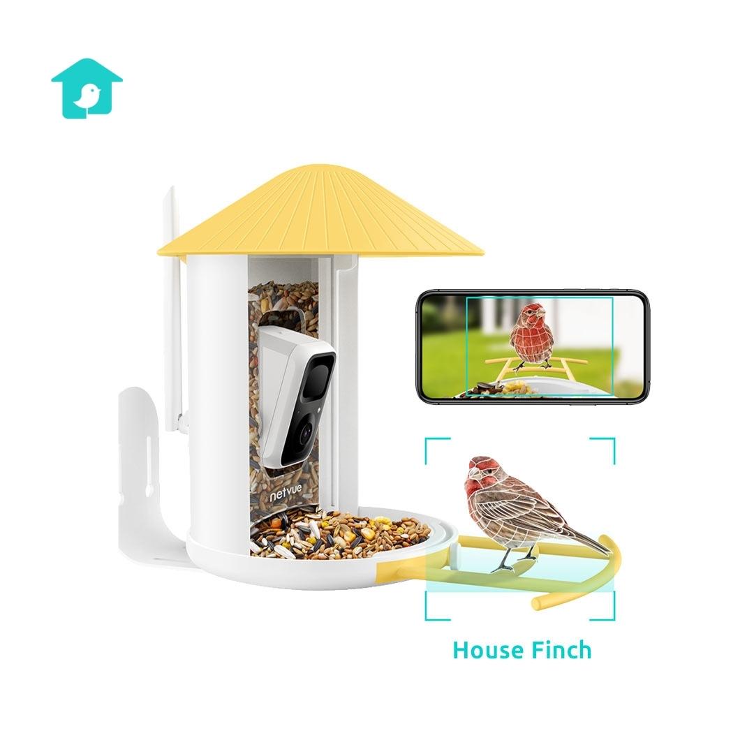 netvue birdfy feeder , la mangeoire à oiseaux connectée 