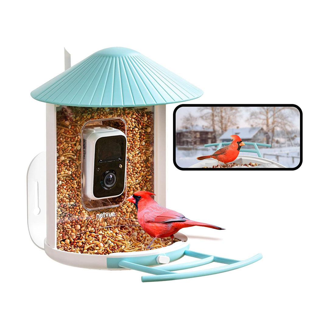 Bird Buddy Is Introducing Camera-Equipped Smart Hummingbird Feeder, Bird  Bath