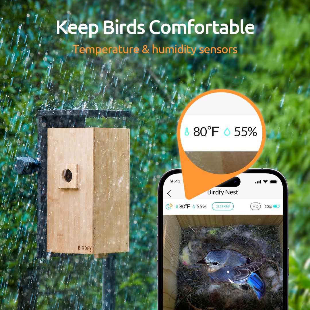 Birdfy Nest - Dual Camera Smart Bird House
